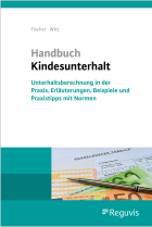 Handbuch Kindesunterhalt